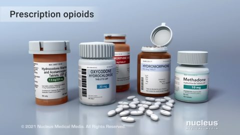 Video: How Opioids Like Fentanyl Work