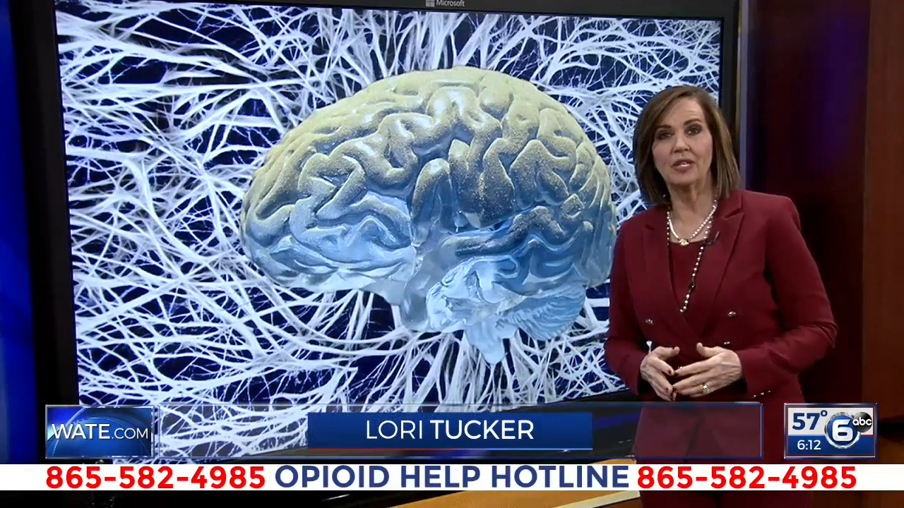Video: The Addicted Brain